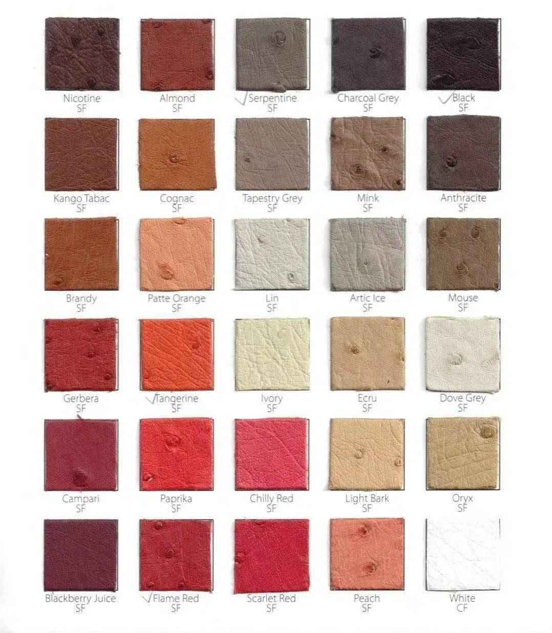 Ostrich Skin Leather Colorway