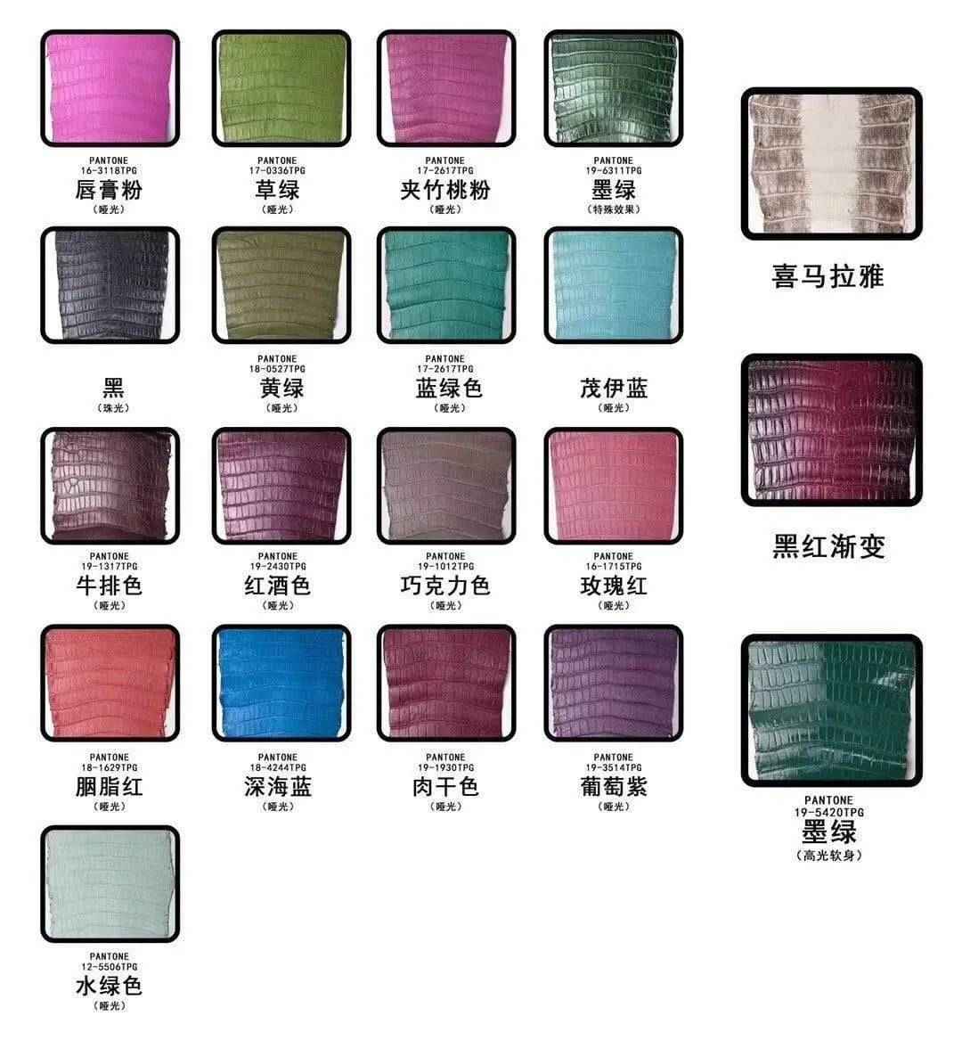 Crocodile Skin Belly Leather Colorway