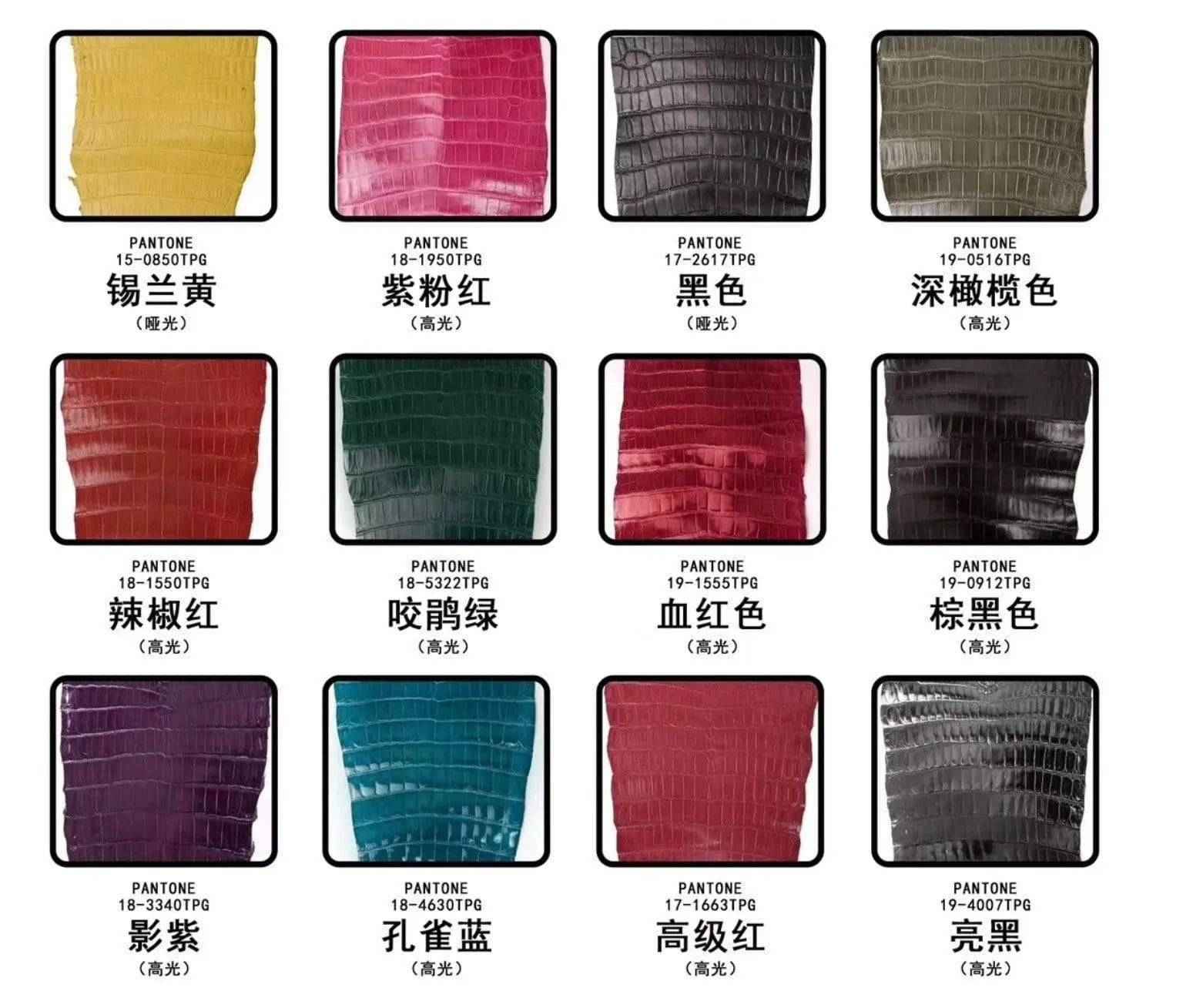 Crocodile Skin Belly Leather Colorway