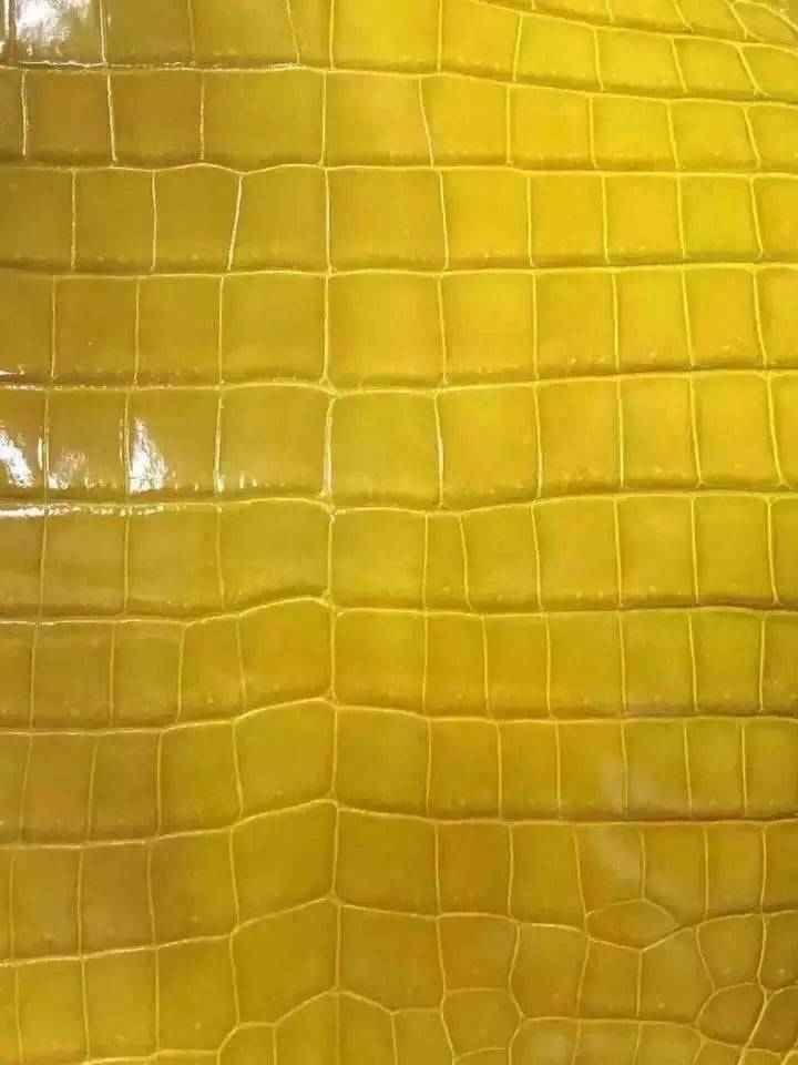 Crocodile Skin Belly Leather Colorway