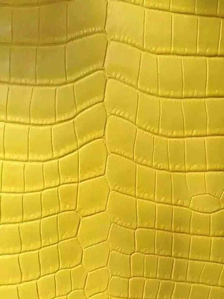 Crocodile Skin Belly Leather Colorway