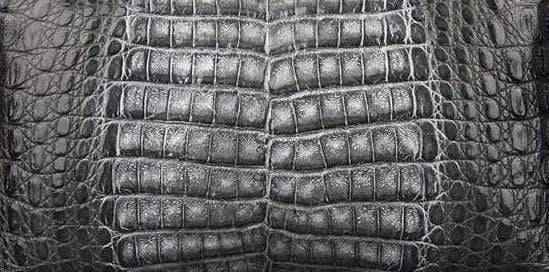 Crocodile Skin Belly Leather Colorway
