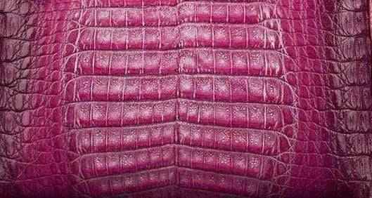 Crocodile Skin Belly Leather Colorway