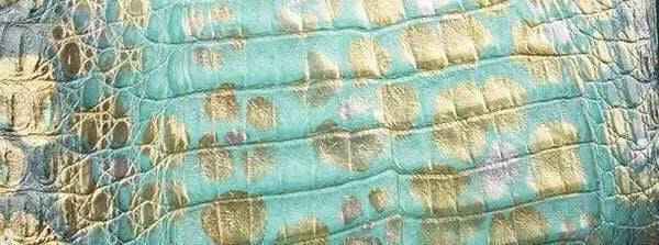 Crocodile Skin Belly Leather Colorway