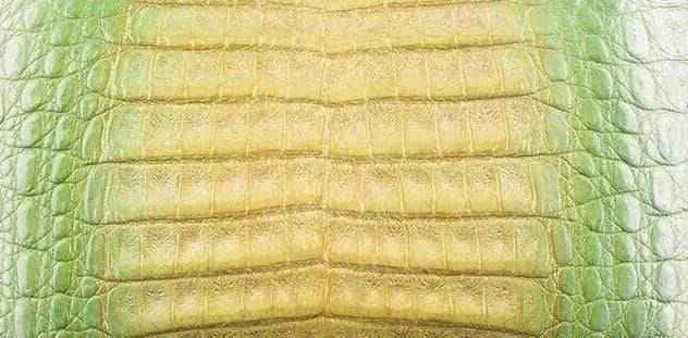 Crocodile Skin Belly Leather Colorway