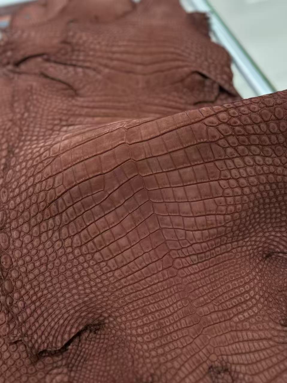 Preorder Unisex Nubuck Genuine Crocodile Skin Leather Zipper Handle Clutch Bag Beige