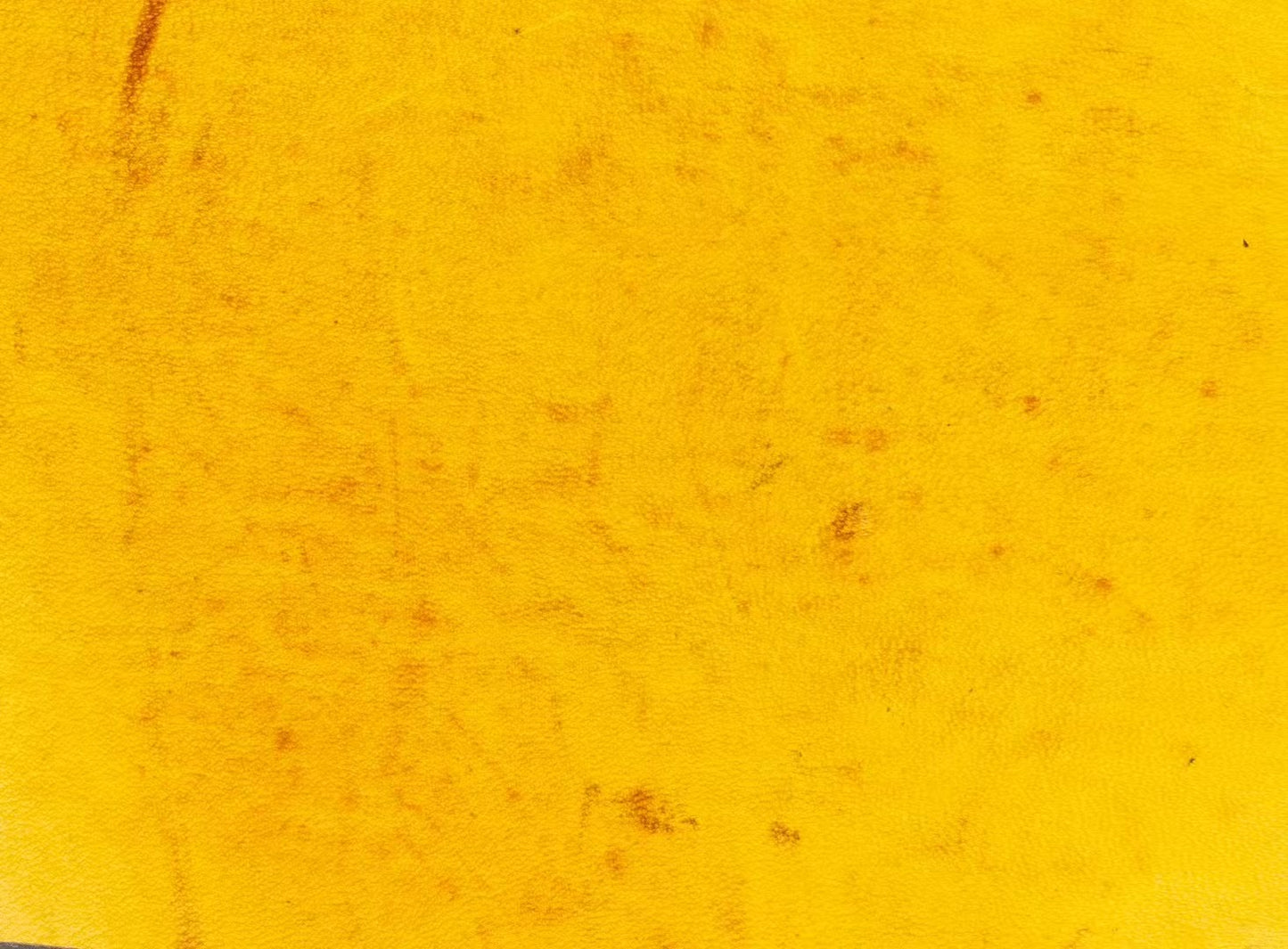 Preorder Genuine Shell Cordovan Leather Loafer Shoes With Tassle