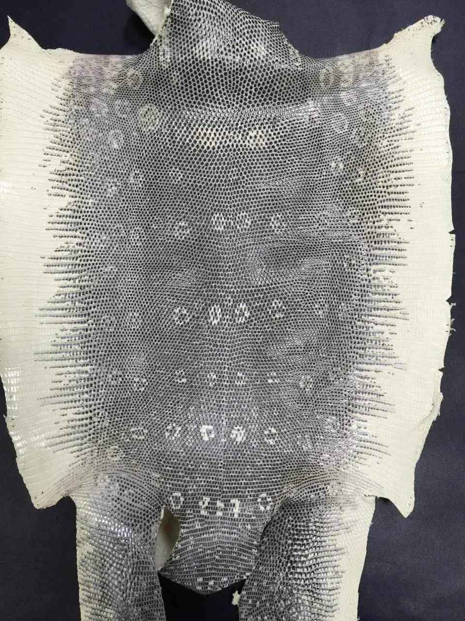 Lizard Skin Leather Colorway