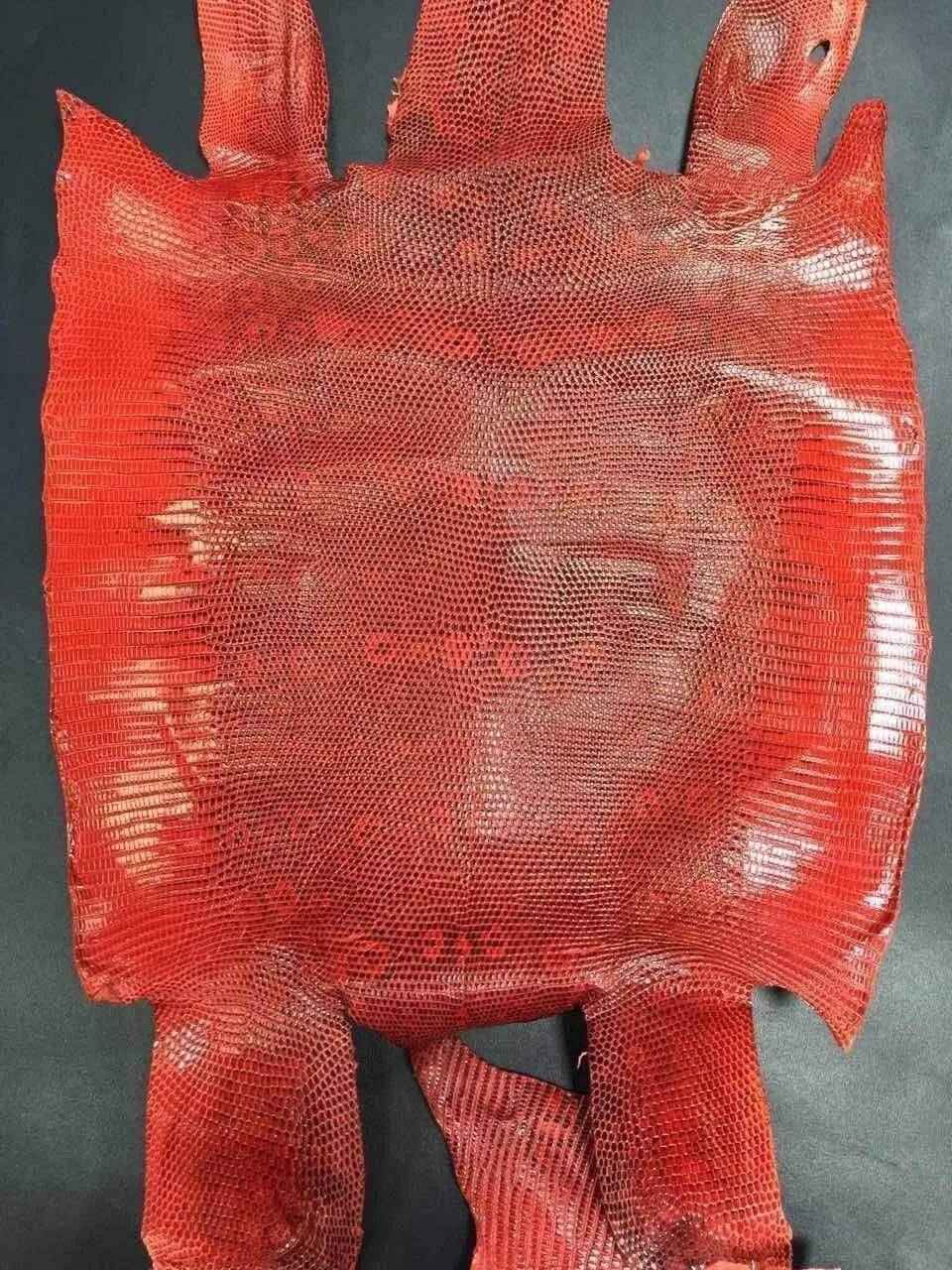 Lizard Skin Leather Colorway