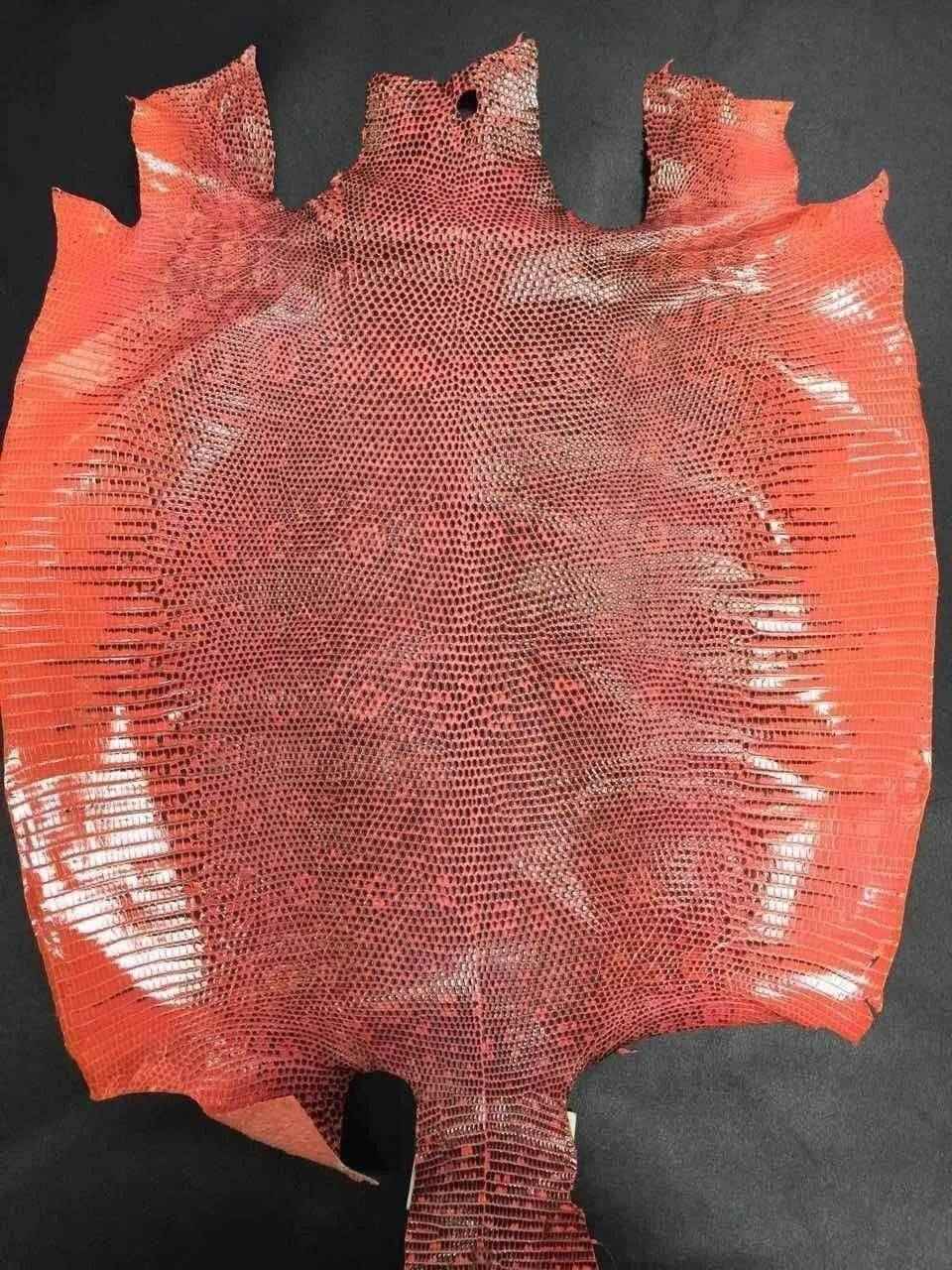 Lizard Skin Leather Colorway