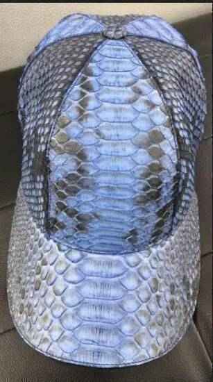 Python Baseball Cap
