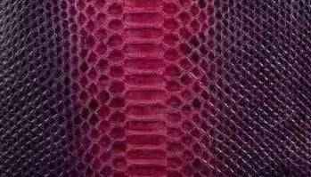 Python skin leather colorway from Exotic Skin Leather Bags, featuring textured crocodile pattern on apparel and accessories.