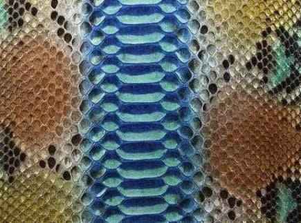 Exotic skin leather bag featuring Python Skin Leather Colorway with textured reptile pattern from Rossieviren.