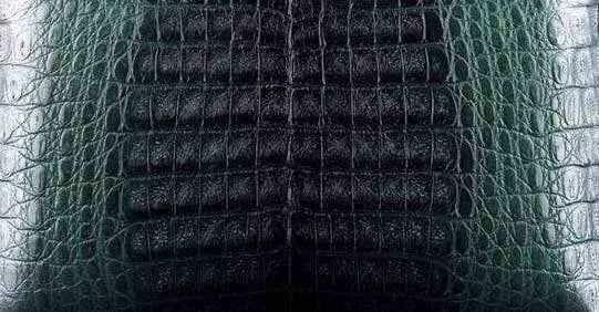 Crocodile Skin Belly Leather Colorway